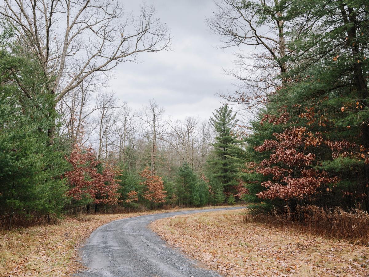 PA State Parks Get Big Boost But Need More Spotlight PA   MjAyMy8wOS8wMWpnLTQxd2Qtd2docS02c2doLmpwZWc= 