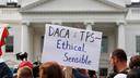 A person holds up a sign in support of the Deferred Action for Childhood Arrivals, known as DACA, and Temporary Protected Status programs during a rally at the White House, Sept. 5, 2017. A person holds up a sign in support of the Deferred Action for Childhood Arrivals, known as DACA, and Temporary Protected Status programs during a rally at the White House, Sept. 5, 2017.