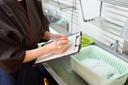 A stock image of a person with a clipboard in a kitchen. A stock image of a person with a clipboard in a kitchen.