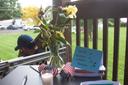 Flowers and a small American flag on a table at a vigil in Muhlenberg Township, where supporters were invited to write messages to Erasmo Zavala. He is being held at Moshannon Valley Processing Center. Flowers and a small American flag on a table at a vigil in Muhlenberg Township, where supporters were invited to write messages to Erasmo Zavala. He is being held at Moshannon Valley Processing Center.