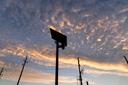 Silhouetted Flock Safety license plate reader against an orange-and-blue sunset sky, with utility poles and power lines below. Silhouetted Flock Safety license plate reader against an orange-and-blue sunset sky, with utility poles and power lines below.