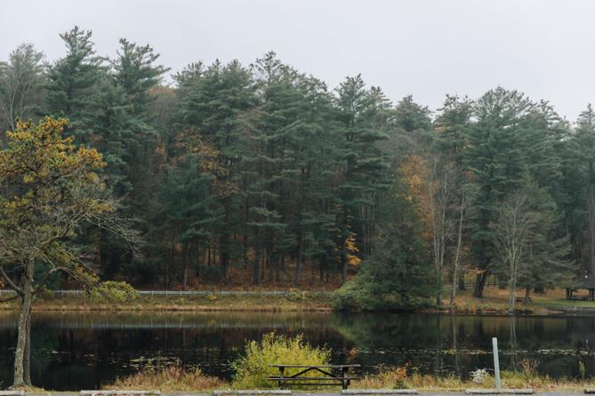 A view of the lake and evergreen trees at Black Moshannon State Park in Centre County. A view of the lake and evergreen trees at Black Moshannon State Park in Centre County.