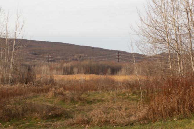 Power lines sit on a hillside Power lines sit on a hillside