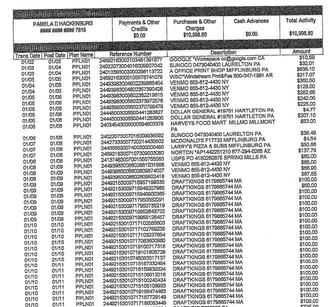 A section of a Gregg Township credit card statement from January 2023.